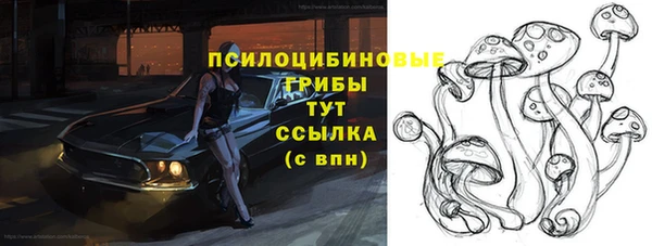 стаф Вяземский