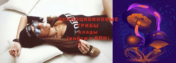 стаф Вяземский