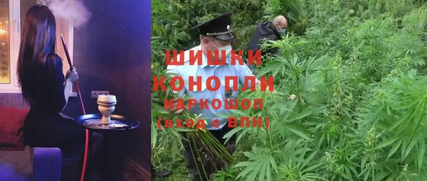 стаф Вяземский