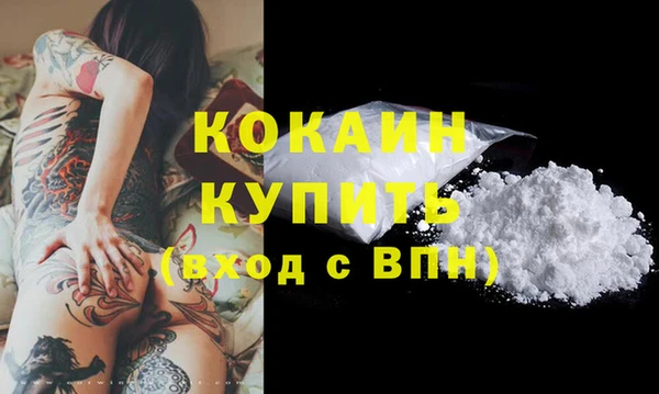 стаф Вяземский