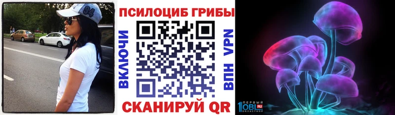Купить где  Баксан  Галлюциногенные грибы Cubensis 